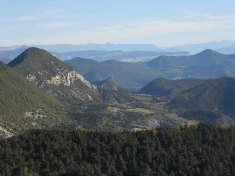 DSCN2238